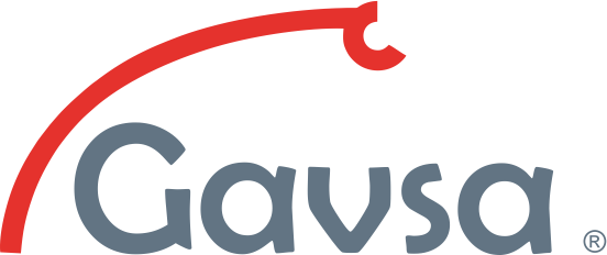 Link Gavsa